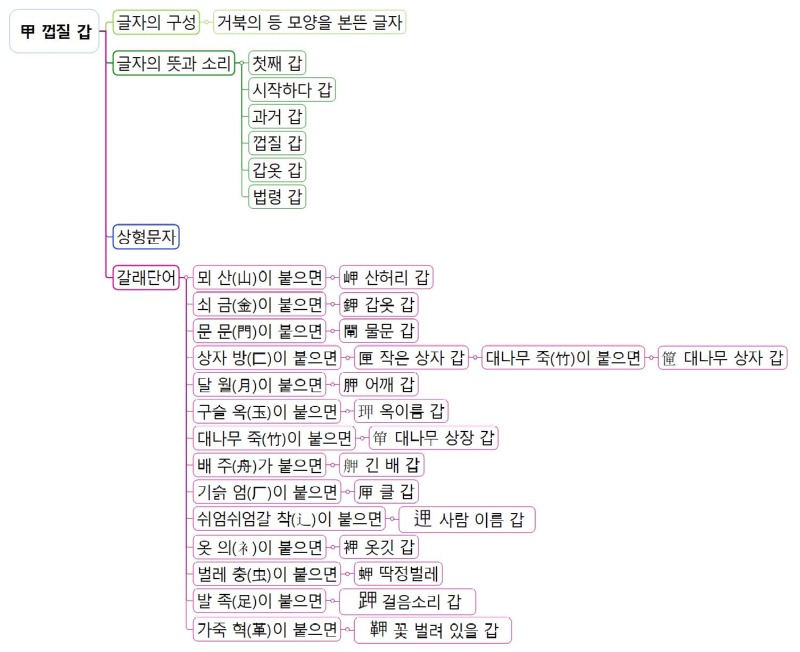 껍질 갑.jpg