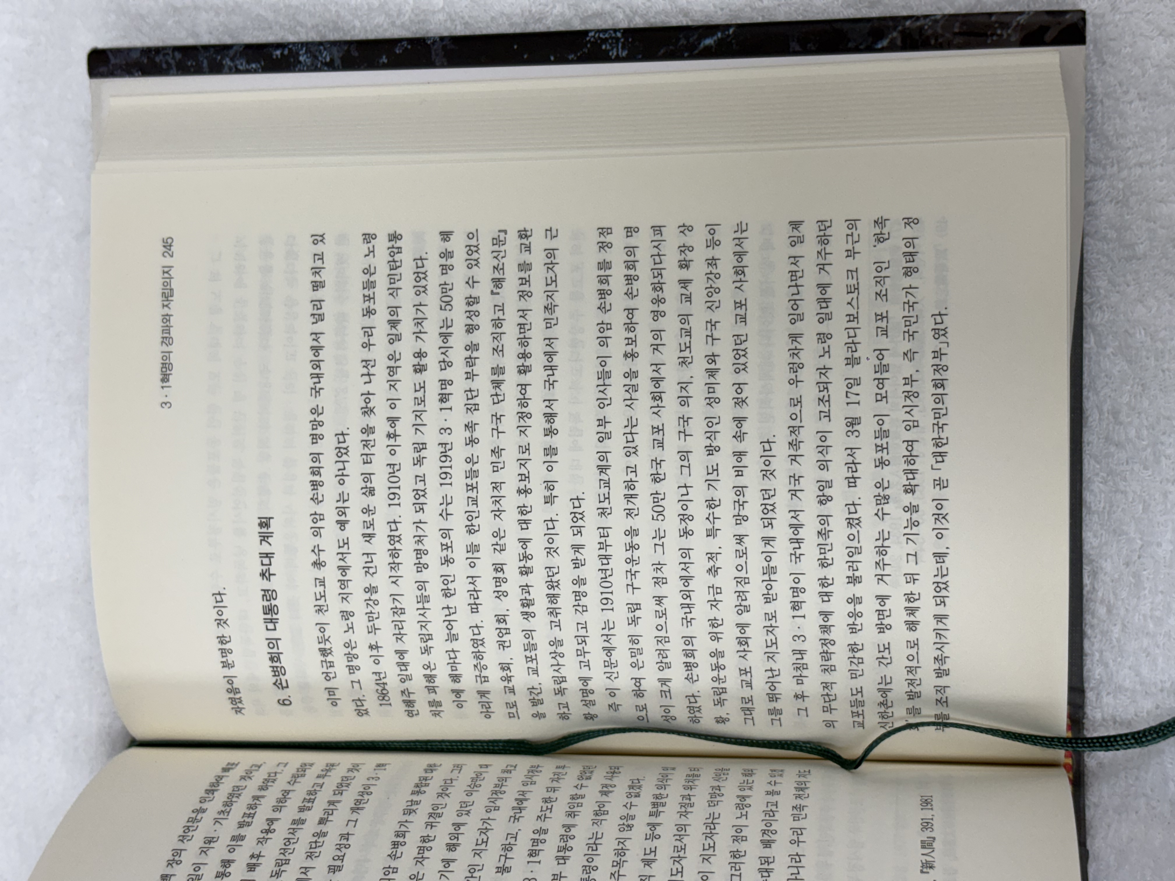 3.1혁명, 그 진실을 밝힌다./25,000원